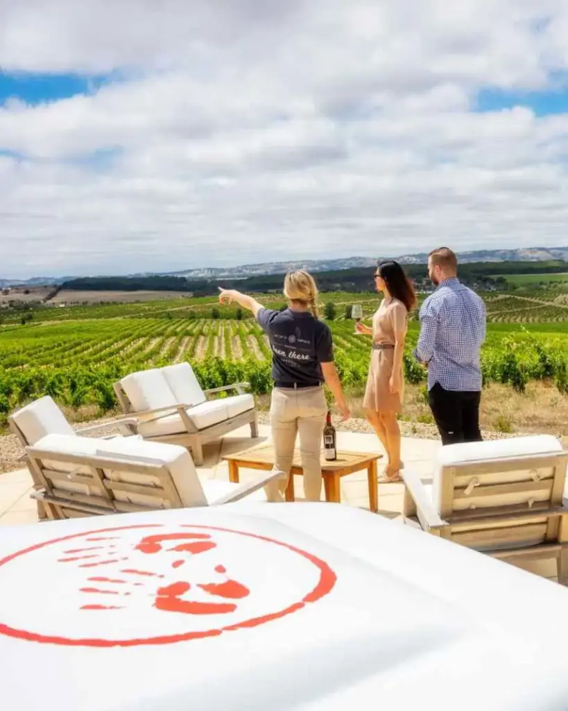 two-hands-winery-view-visit-barossa.webp