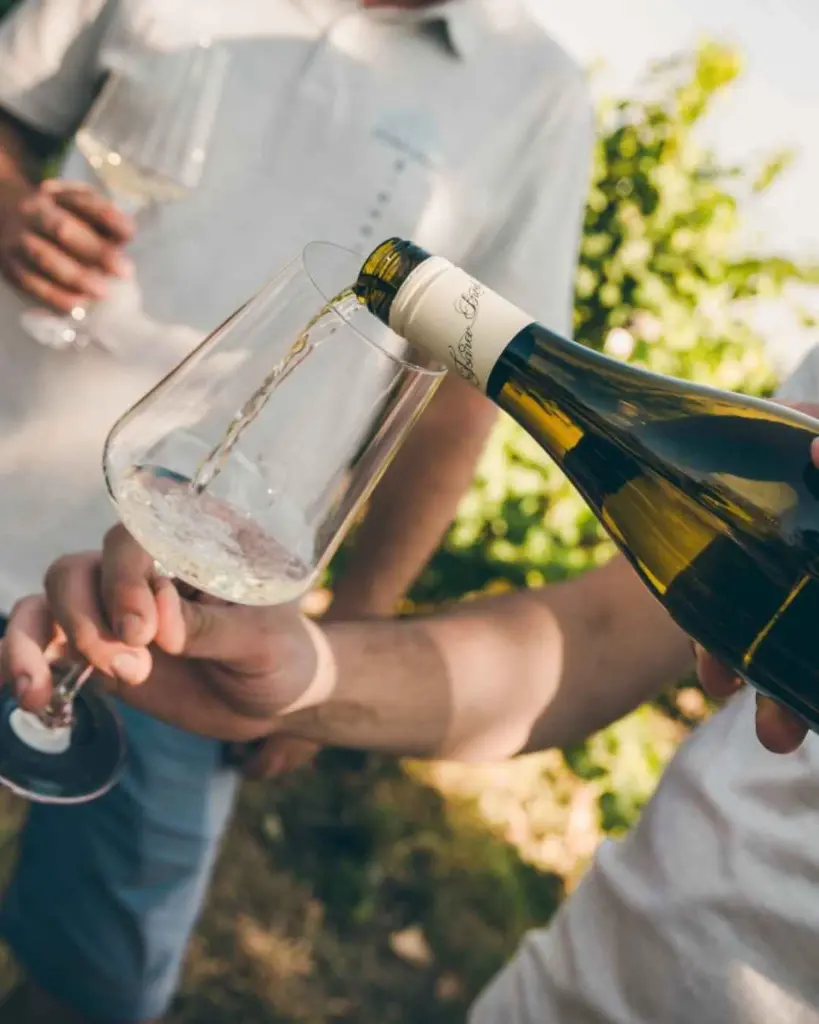 tsarev-brod-wine-tasting-bulgaria.webp
