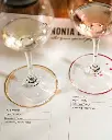 bononia-estate-wine-tasting-bulgaria.webp