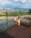 rupel-winery-struma-bulgaria.webp