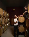 portugal-algarve-quinta-dos-sentidos-wine-and-olive-oil.webp