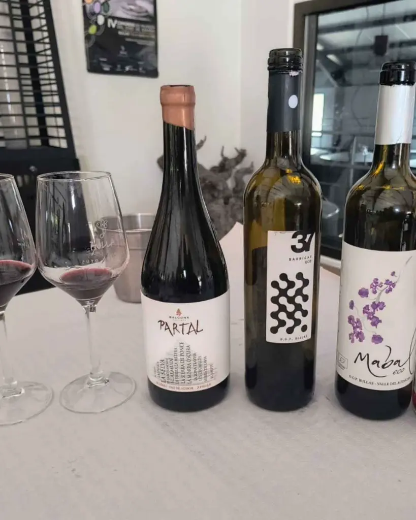 murcia-balcona-tasting-red-wines.webp