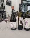 murcia-balcona-tasting-red-wines.webp