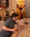 monte-tondo-wine-cellar.webp