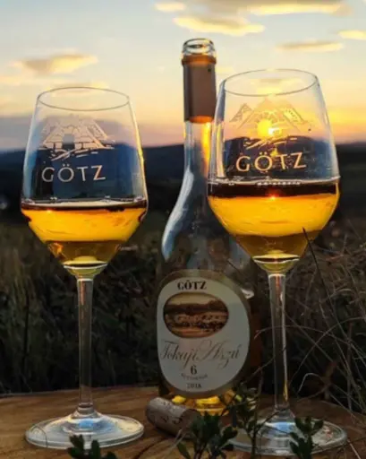 Hungary, Tokaj, Gotz - Wine Tasting And Tour