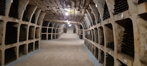 Moldova, Codru - From Chisinau Milestii Mici Tasting Tour & Chisinau City Tour