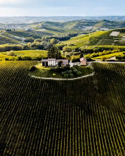 Italy, Piedmont, Bersano - The Barbera and Nizza tasting