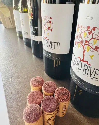 Italy, Piedmont, Massimo Rivetti - Vineyards and cellar Tour with Food and Wine Pairing