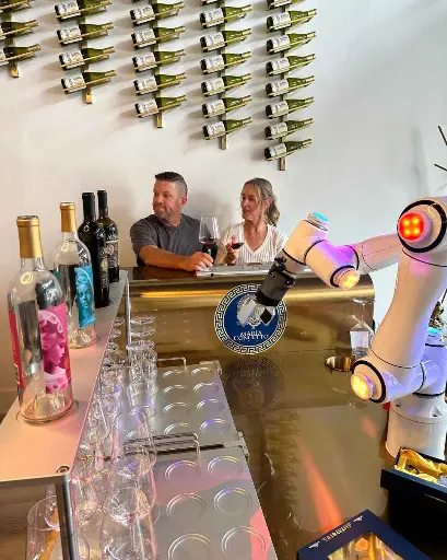 US, California, Napa Valley - Maria Concetto Winery - Wine Tasting With Robot Sommelier