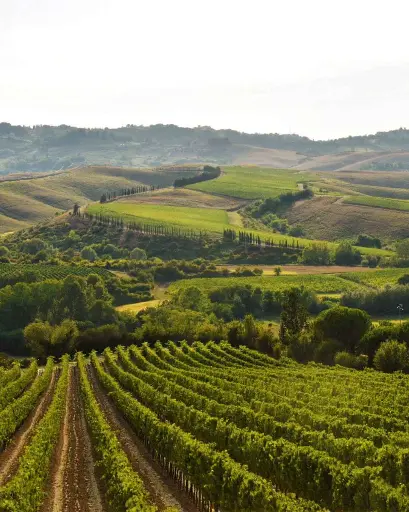 Italy, Tuscany, Badia di Morrona - Private wine tasting at the medieval Monastery upon Pisan hills