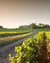 chateau-chamirey-vineyard-tour-france.webp