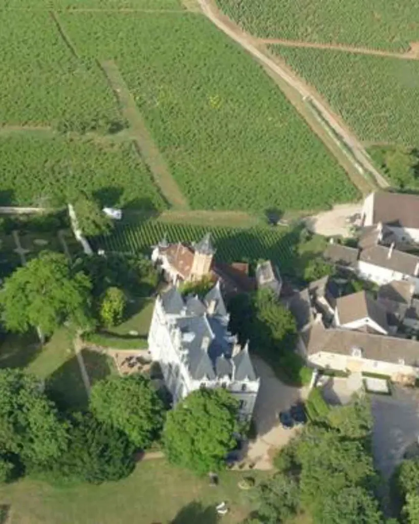 chateau-de-chamirey-burgundy-winery-experience-france.webp