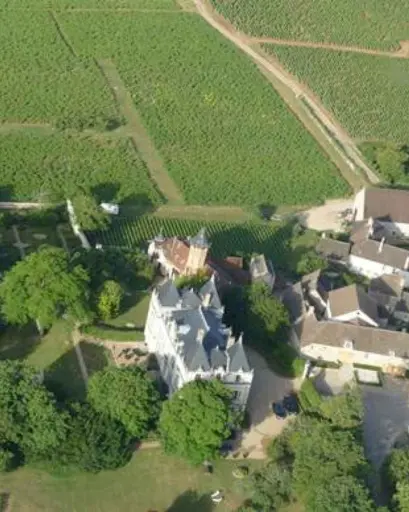 France, Burgundy, Château de Chamirey - Tasting of 5 wines with aperitif board