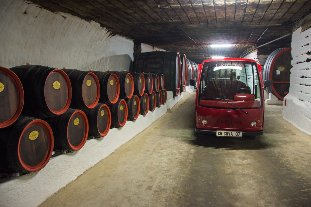 Moldova Tours - From Chisinau: Cricova Wine Tasting Tour & Old Orhei archeological complex