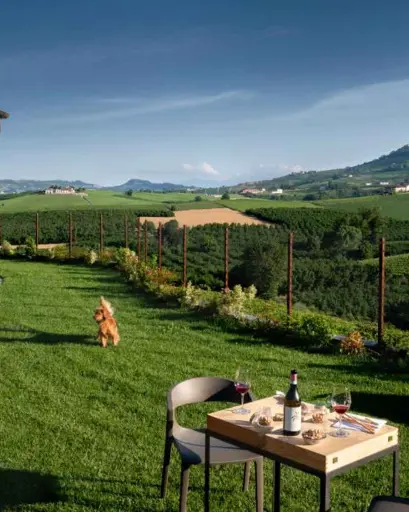 Italy, Piedmont, Azienda Agricola Diego Morra - BAROLO ON PLURAL... and more