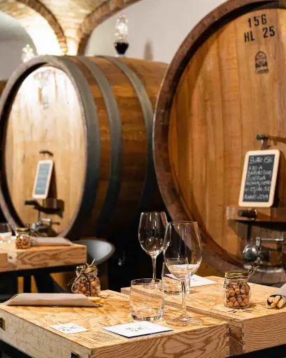 Italy, Piedmont, Azienda Agricola Diego Morra - BAROLO ON PLURAL... and more