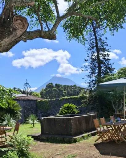 Portugal, Azores, Adega do Vulcao - Classic Tasting