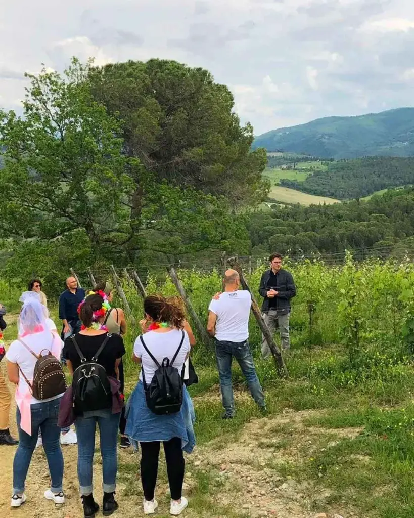 torraccia-di-presura-vineyard-tour-tuscany-italy.webp