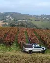 tenuta-fanton-abruzzo-off-road-vineyards-italy.webp