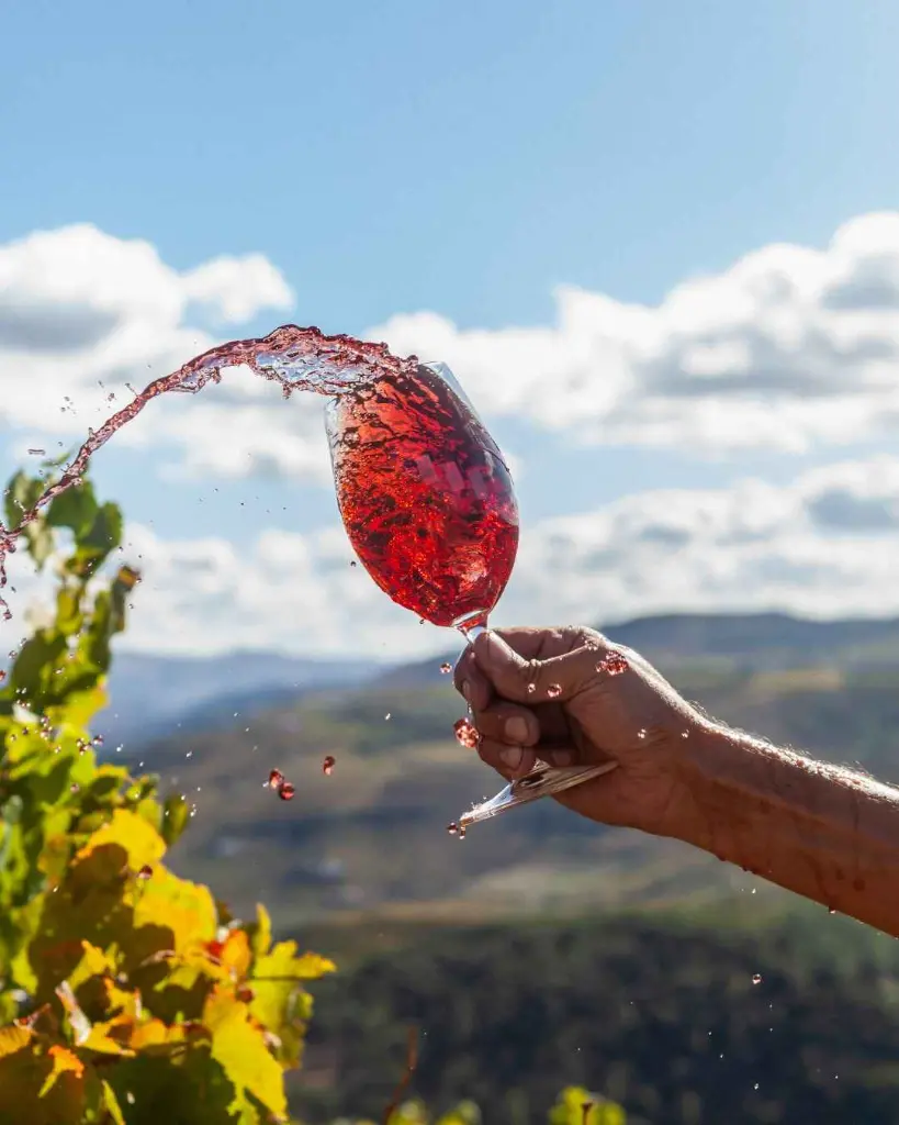 quinta-da-pedra-alta-wine-tasting-portugal.webp