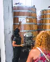 quinta-da-alta-wine-cellar-portugal-douro.webp