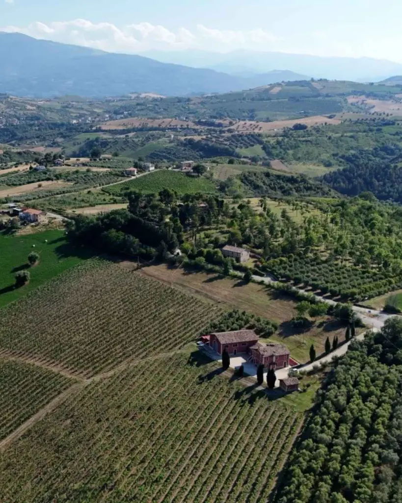 derasmo-winery-experience-marche-italy.webp