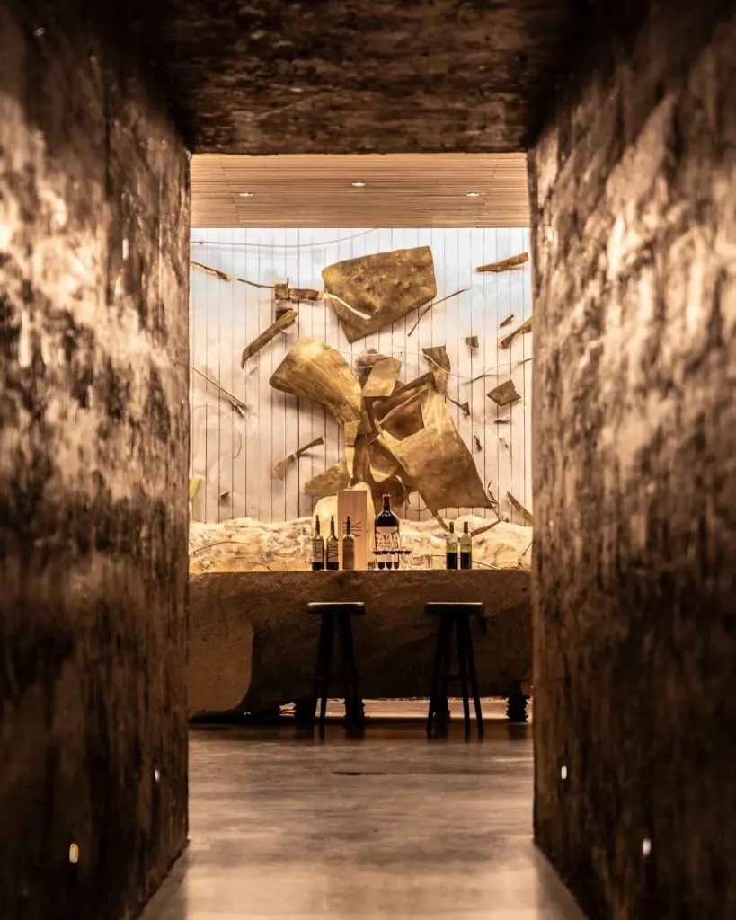 vik-chile-visit-tasting-experience.webp