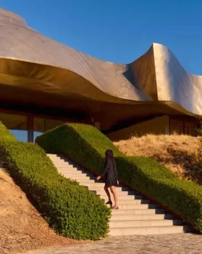 Chile, Millahue Valley region, VIK Winery - La Piu Belle Experience