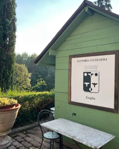 Italy, Tuscany, Fattoria Uccelliera - Incipit