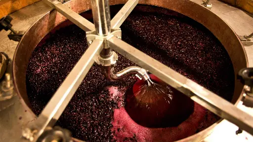 Italy, Tuscany - Sunset Wine Tour from Siena