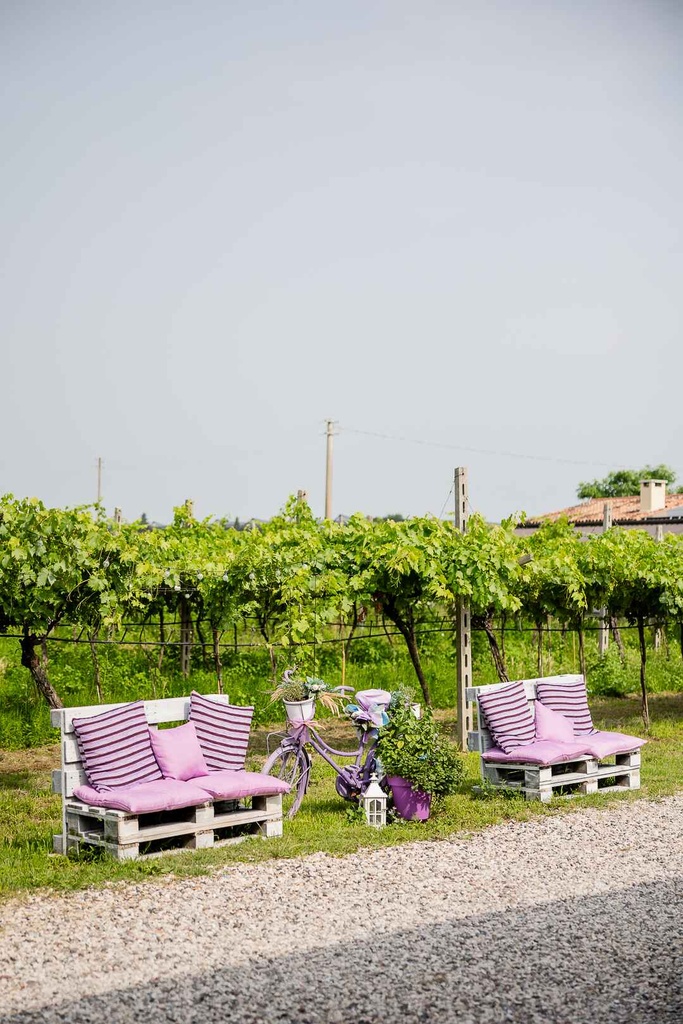 Azienda agricola Fugolo Gianluca - Tour of Valpolicella