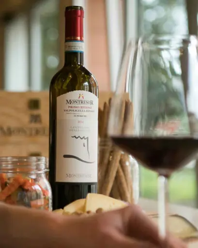 Italy, Veneto, Cantine Giacomo Montresor - Equestrian walk and Wine Tasting