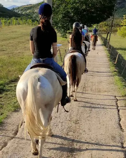 Italy, Veneto, Cantine Giacomo Montresor - Equestrian walk and Wine Tasting