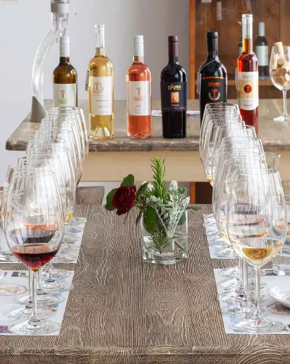 Bulgaria, Black Sea, DiVes - Special History & Wine Tour incl. Wine Tasting