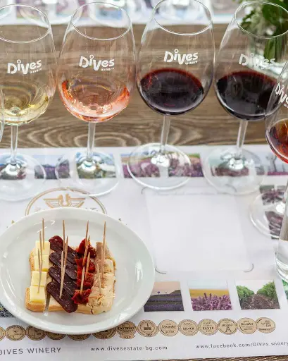Bulgaria, Black Sea, DiVes - Special History & Wine Tour incl. Wine Tasting