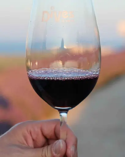 Bulgaria, Black Sea, DiVes - Special History & Wine Tour incl. Wine Tasting