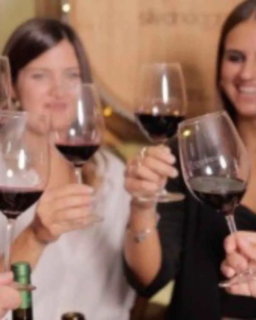 silvano-garcia-wine-tasting-murcia-spain.webp