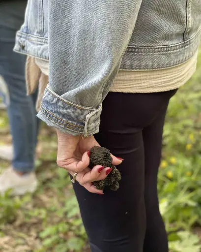 Italy, Tuscany, Tiberini - Truffle Hunting