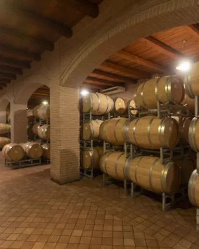Italy, Piedmont, Alario Claudio - Tasting and Tour 