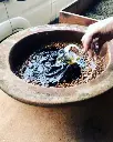 tre-monti-authentic-winery-experience-emilia-romagna-italy.webp