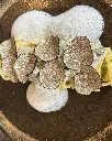 umbria-vineria-del-carmine-superiore-wine-tasting-full-lunch.webp