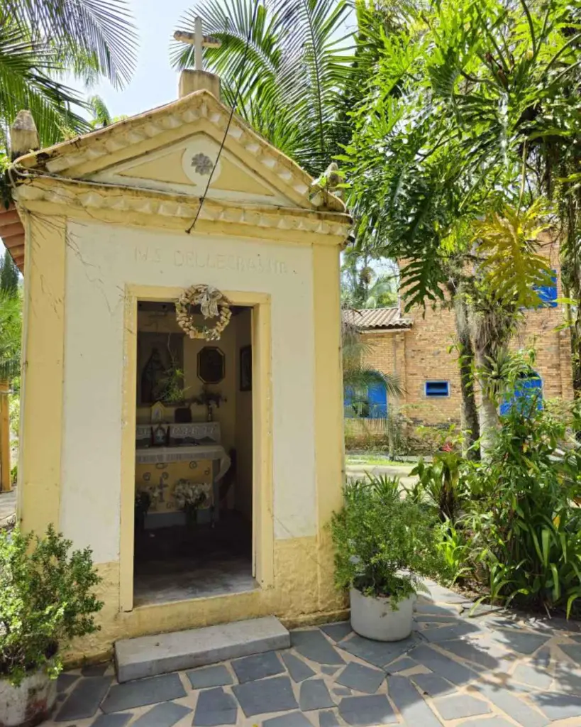 vigna-mazon-estate-visit-brazil.webp