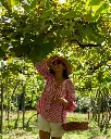 vigna-mazon-brazil-guided-tour.webp