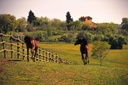 Degli Dei - TENUTA DEGLI DEI EXPERIENCE