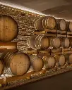 montalbera-wine-cellar-visit-piedmont.webp