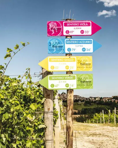 Italy, Piedmont, Montalbera - Tour and Tasting "DISCOVERY MONFERRATO"