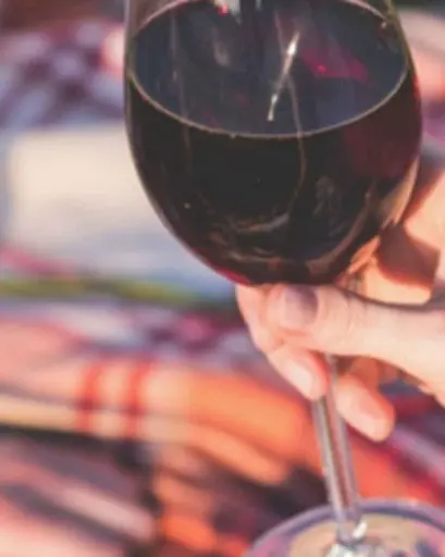 Italy, Piedmont, Montalbera - Tour and Tasting "DISCOVERY MONFERRATO"
