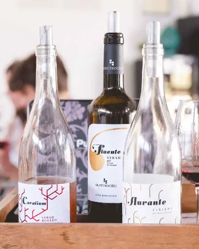 Italy, Sicily, Quattrocieli - Morning Tour with a Sicilian Winemaker: A Wine Lover’s Dream 