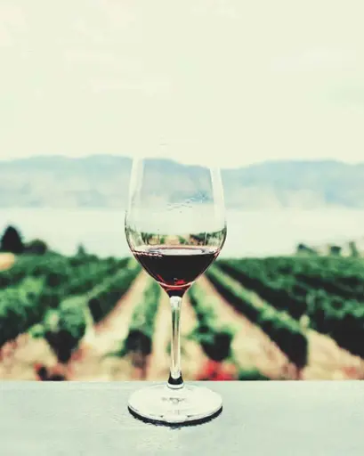Italy, Sicily, Vasari Vini - Guided Visit of the Museum and tasting paired with local typical food