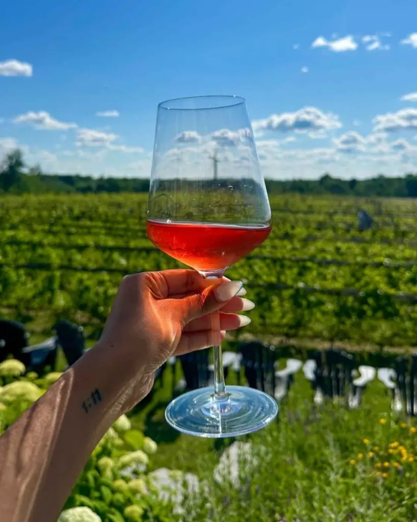 adamo-estate-winery-visit-tasting.webp